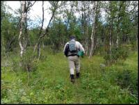 Bifogad bild: norge2010augusti080.jpg